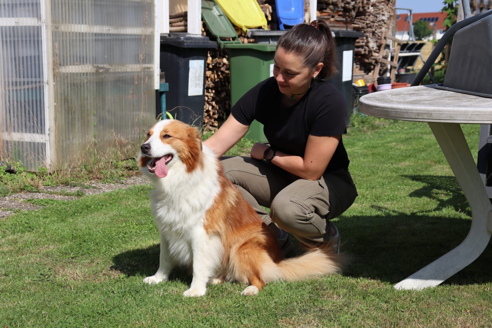 Alltagsnahes Hundetraining mit MoveMates